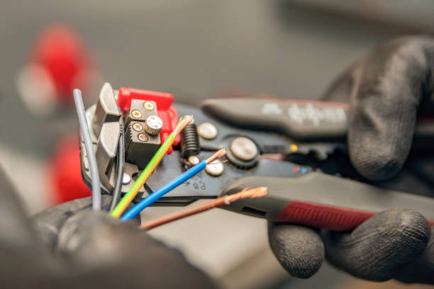 Best Electric Panel Repair  in Tennessee Ridge, TN