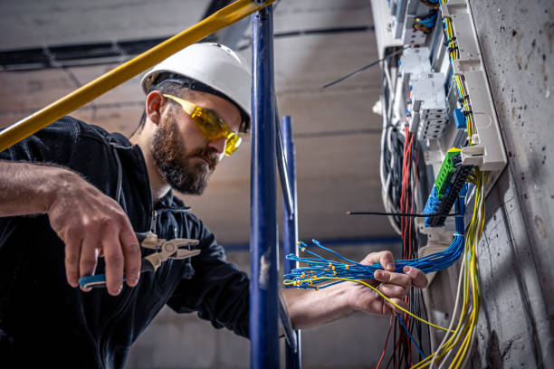 Best Electric Panel Repair  in Tennessee Ridge, TN
